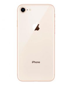 iPhone 7 / 8